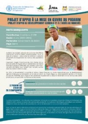 Flyer - PADAAM Project